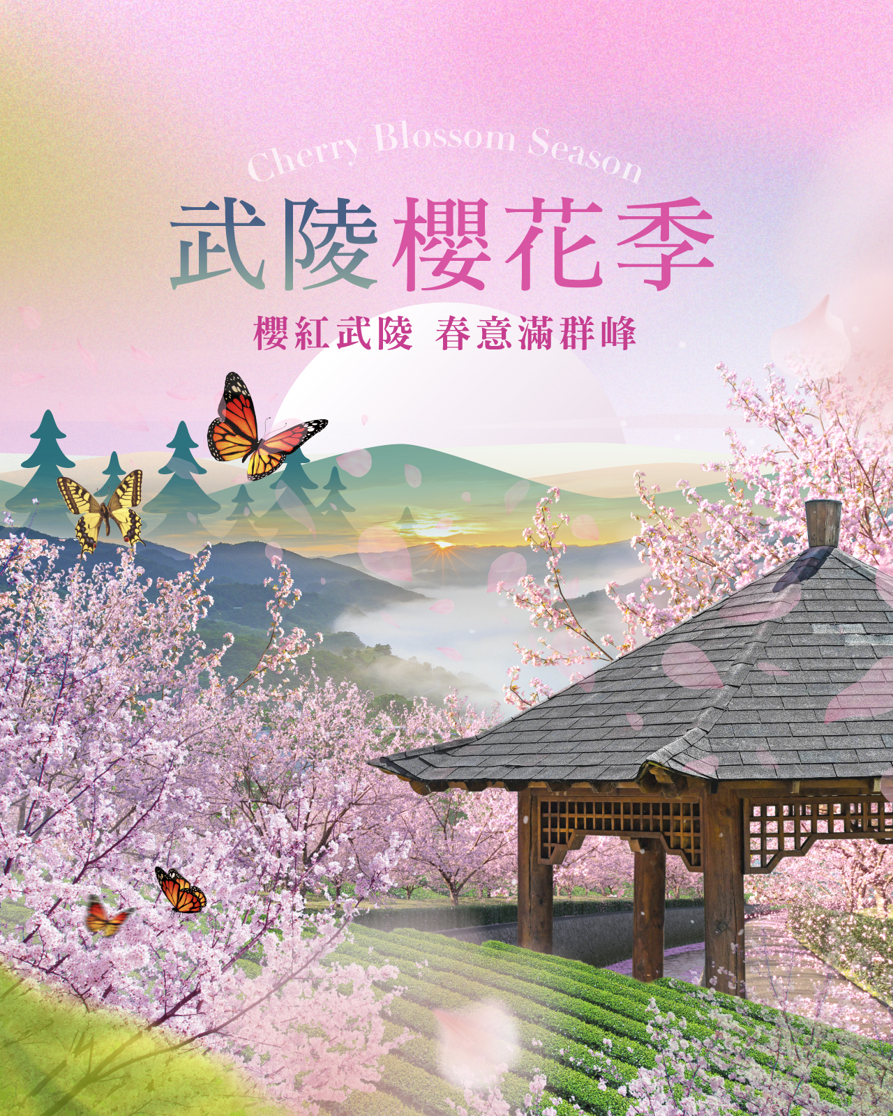 武陵農場櫻花季